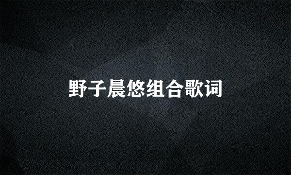 野子晨悠组合歌词