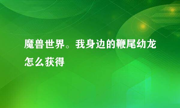 魔兽世界。我身边的鞭尾幼龙怎么获得