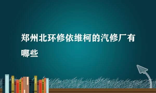 郑州北环修依维柯的汽修厂有哪些