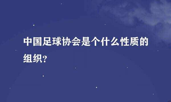 中国足球协会是个什么性质的组织？