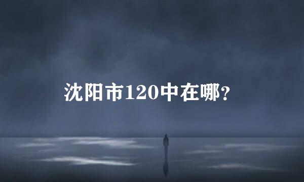 沈阳市120中在哪？