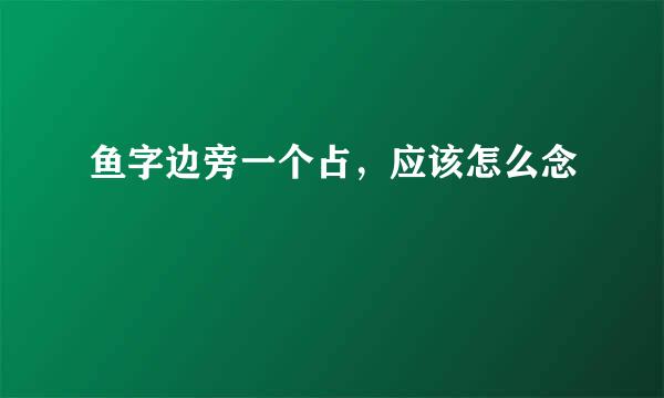 鱼字边旁一个占，应该怎么念