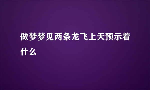 做梦梦见两条龙飞上天预示着什么