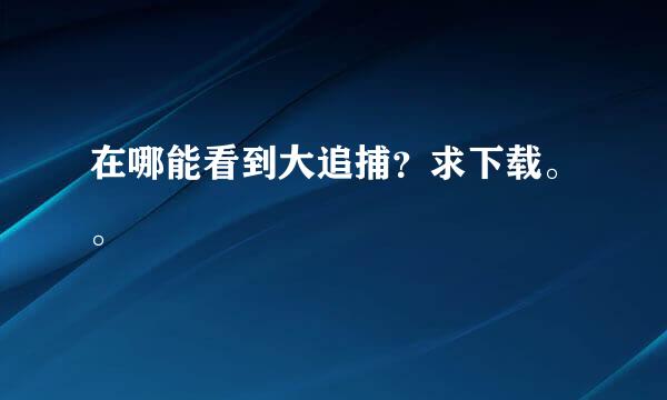 在哪能看到大追捕？求下载。。