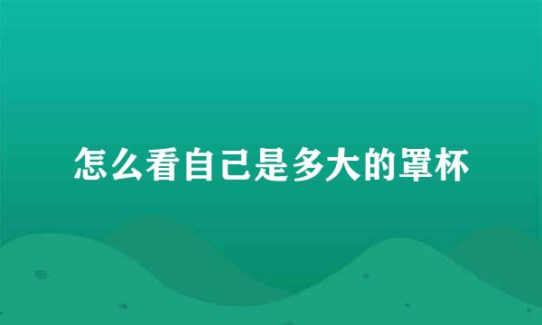 怎么看自己是多大的罩杯