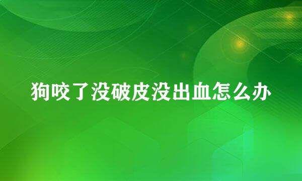 狗咬了没破皮没出血怎么办