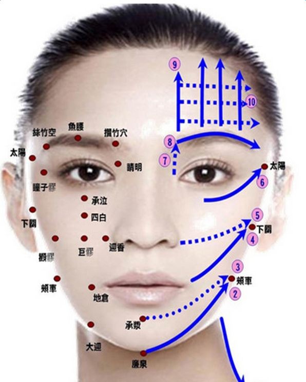 脸部穴位图