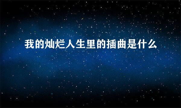 我的灿烂人生里的插曲是什么