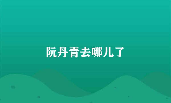 阮丹青去哪儿了