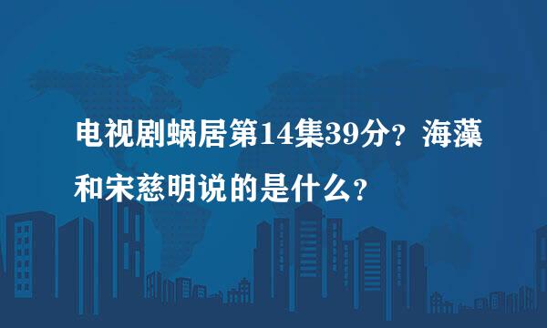 电视剧蜗居第14集39分？海藻和宋慈明说的是什么？