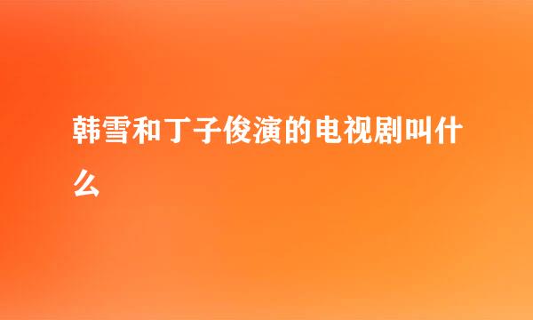 韩雪和丁子俊演的电视剧叫什么