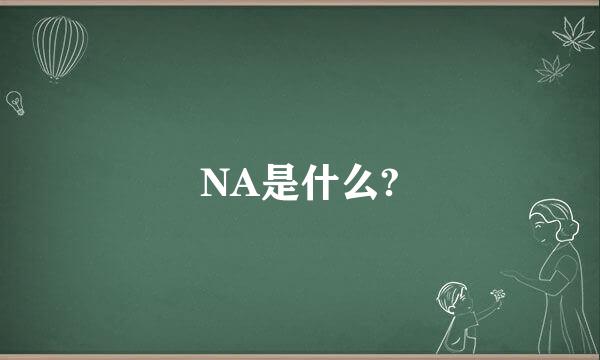 NA是什么?