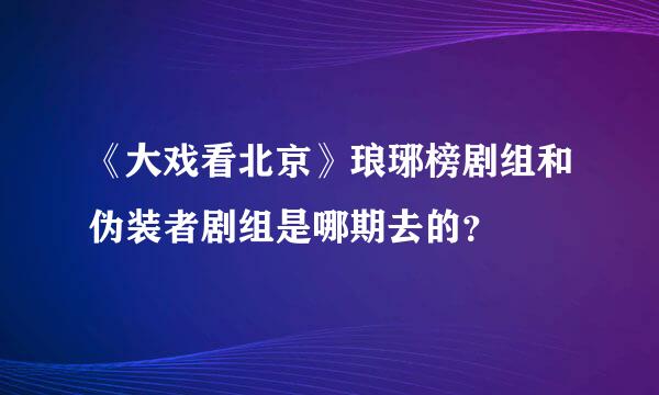 《大戏看北京》琅琊榜剧组和伪装者剧组是哪期去的？