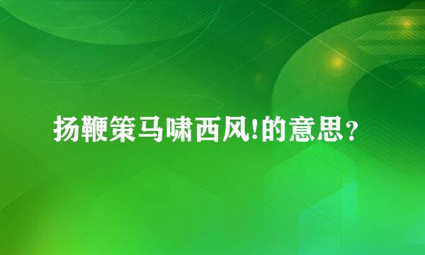 扬鞭策马啸西风!的意思？