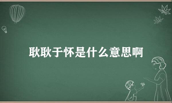 耿耿于怀是什么意思啊