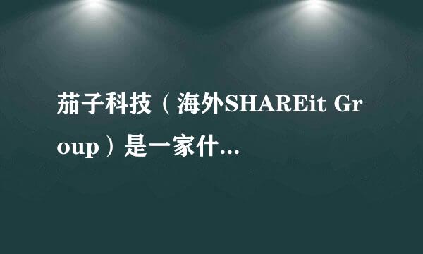 茄子科技（海外SHAREit Group）是一家什么性质的公司？