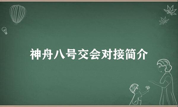 神舟八号交会对接简介