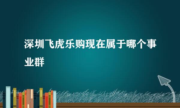 深圳飞虎乐购现在属于哪个事业群