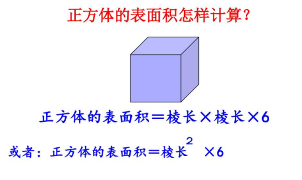 长方体和正方体的表面积是？