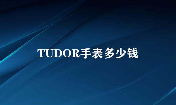 TUDOR手表多少钱