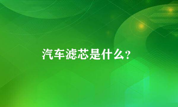 汽车滤芯是什么？