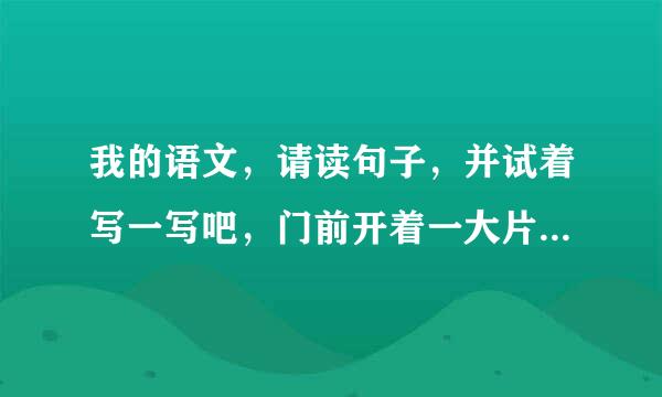 我的语文，请读句子，并试着写一写吧，门前开着一大片五颜六色的鲜花，小路上什么？