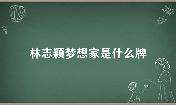 林志颖梦想家是什么牌