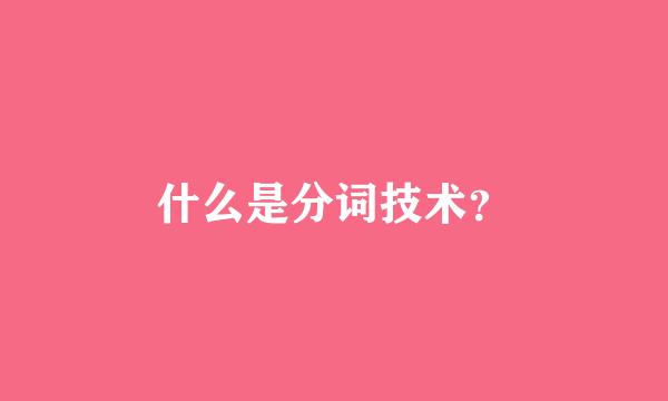 什么是分词技术？