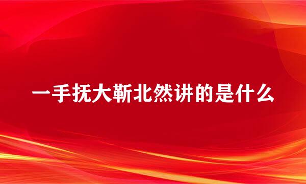 一手抚大靳北然讲的是什么