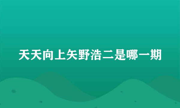 天天向上矢野浩二是哪一期