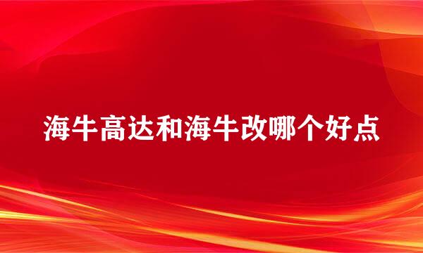 海牛高达和海牛改哪个好点