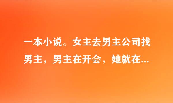 一本小说。女主去男主公司找男主，男主在开会，她就在沙发上等睡着了，男主开会出来看到了就责备秘书怎么