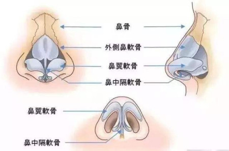 美鼻夹有没有用？