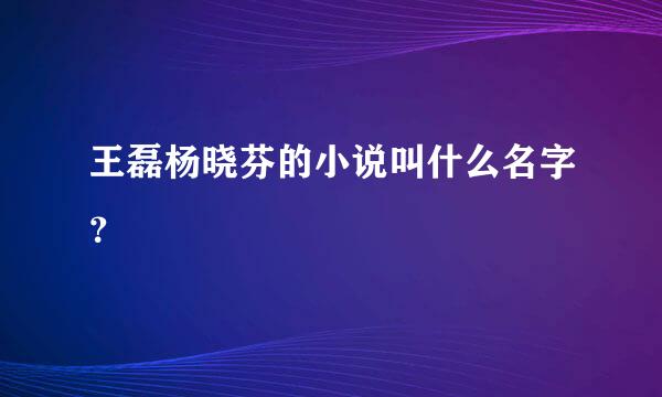 王磊杨晓芬的小说叫什么名字？