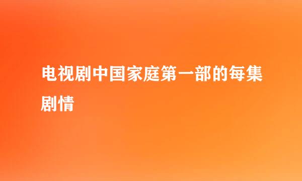 电视剧中国家庭第一部的每集剧情