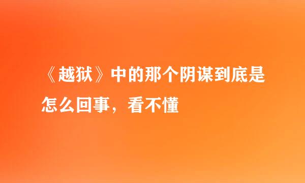 《越狱》中的那个阴谋到底是怎么回事，看不懂