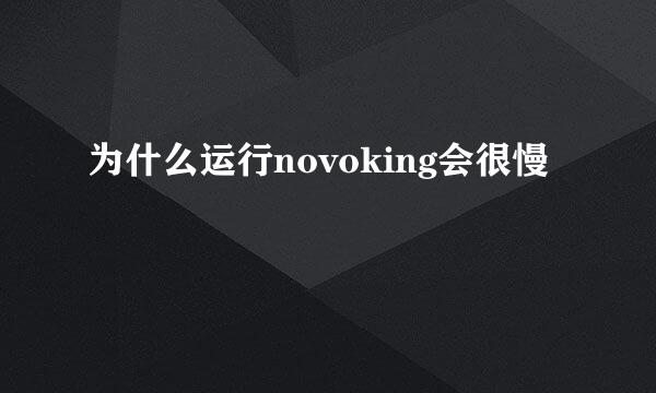 为什么运行novoking会很慢