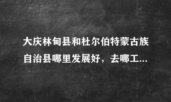 大庆林甸县和杜尔伯特蒙古族自治县哪里发展好，去哪工作怎么样，希望知道的贵人给点意见