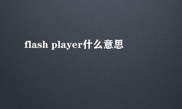 flash player什么意思