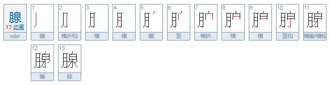 腺怎么读？