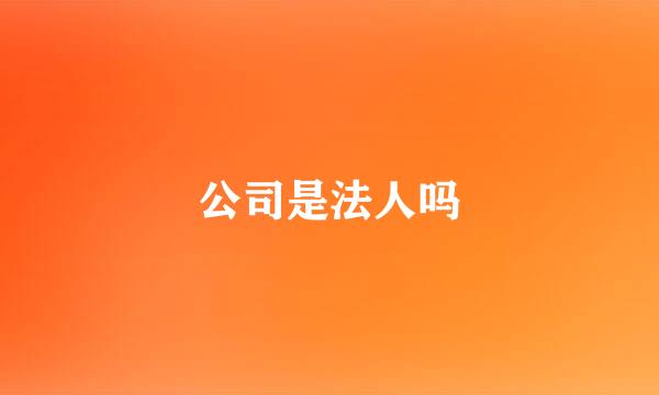 公司是法人吗