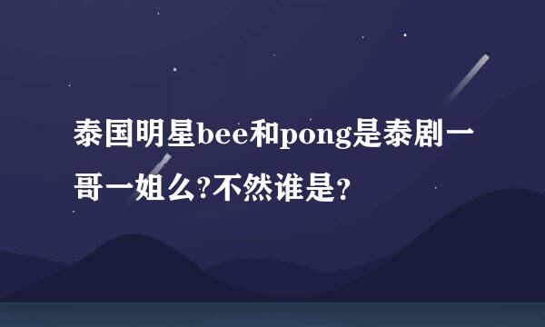 泰国明星bee和pong是泰剧一哥一姐么?不然谁是？