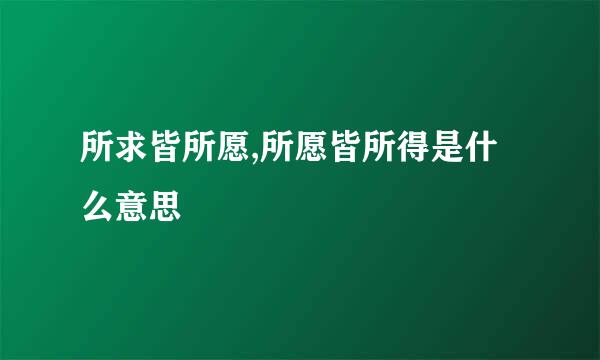 所求皆所愿,所愿皆所得是什么意思