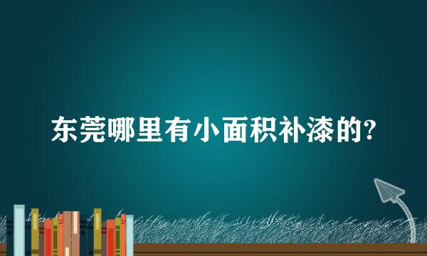 东莞哪里有小面积补漆的?