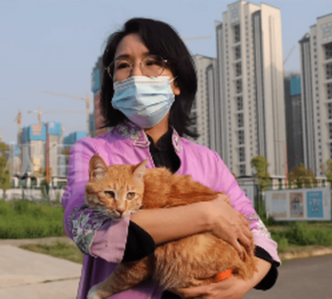 雷神山流浪小奶猫一年后成胖橘，它是被谁喂养的？