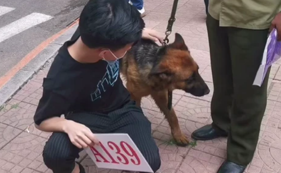 54只淘汰警犬被拍卖，最高拍卖价33万，其收益将用于何处？