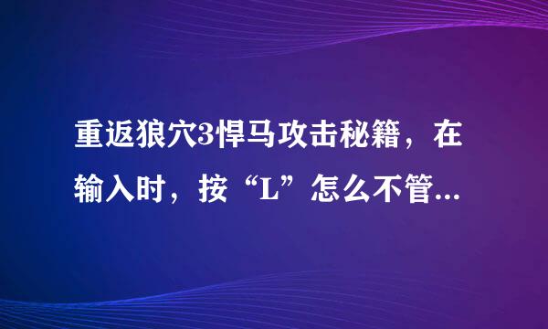 重返狼穴3悍马攻击秘籍，在输入时，按“L”怎么不管用啊？？？？