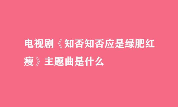 电视剧《知否知否应是绿肥红瘦》主题曲是什么