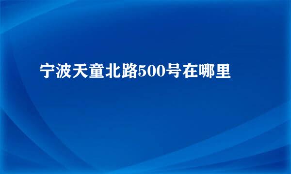 宁波天童北路500号在哪里