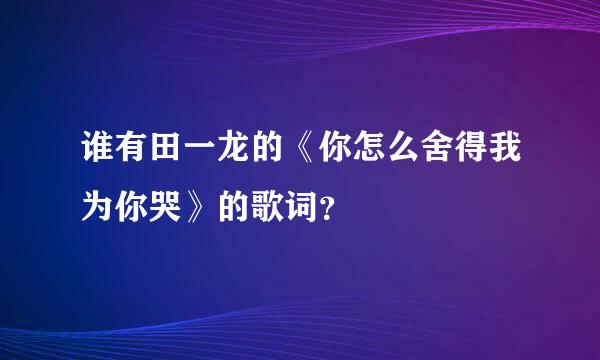 谁有田一龙的《你怎么舍得我为你哭》的歌词？